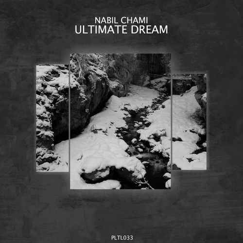 Nabil Chami - Ultimate Dream [PLTL033]